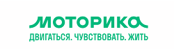 Моторика